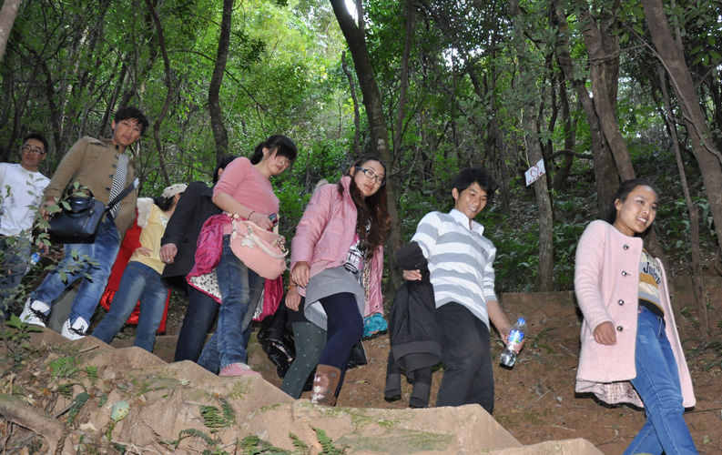 青龍峽位于昆明西郊安寧市青龍鎮(zhèn)滇中生態(tài)大峽谷中，景區(qū)有保存較為完好的植物群落，遮天蔽日的參天古木；有浪漫山花，野果飄香，還有清秀寧?kù)o的田園風(fēng)光。河谷沿岸古柳成蔭，幾十里的云南櫻花大道成為昆明郊游靚麗的風(fēng)景線。景區(qū)中溪水潺潺，千姿百態(tài)、千奇百怪的蔓藤風(fēng)光隨處可見(jiàn)，號(hào)稱“都市身旁的小九寨。